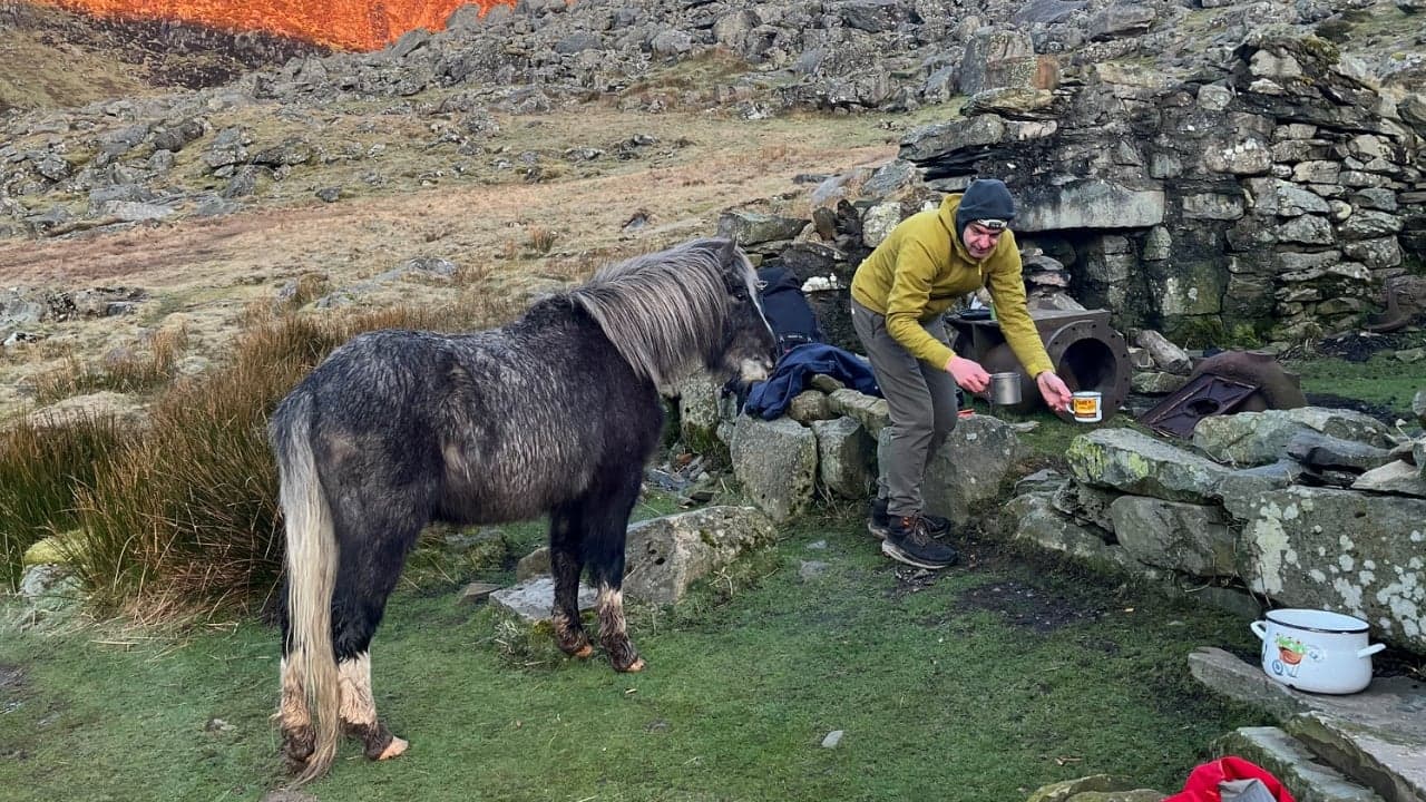 Dulyn Bothy - Photo 5