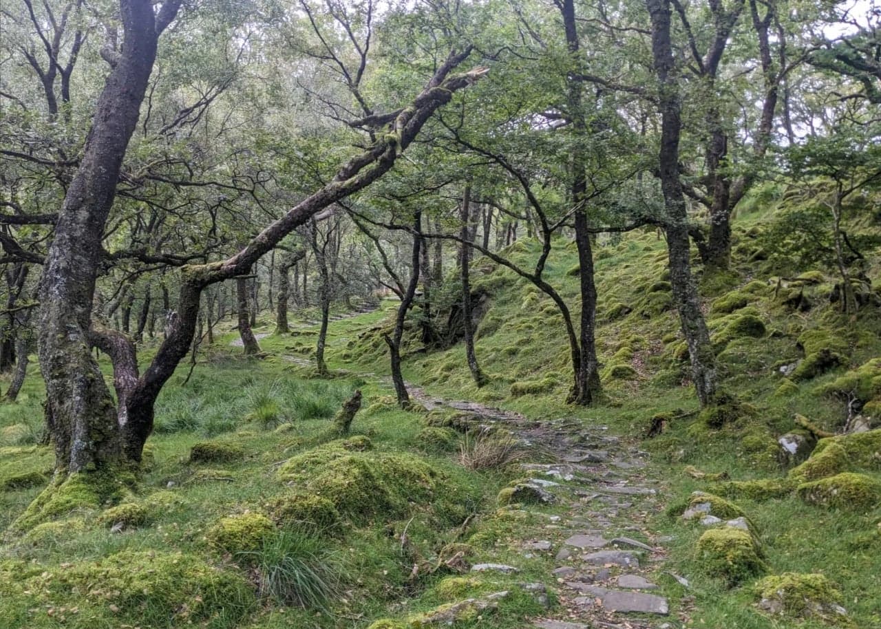 The Rhinogydd - Photo 3